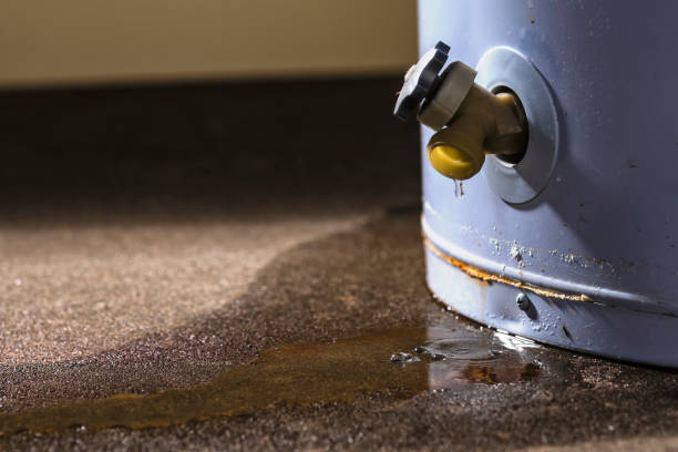 Best Water damage restoration insurance claims  in Red Oak, TX