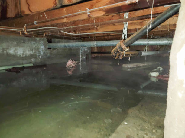 Best 24/7 water damage repair  in Red Oak, TX