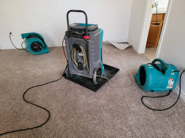 Best Carpet water damage restoration  in Red Oak, TX