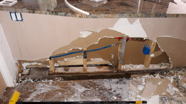 Best Water damage restoration mold remediation  in Red Oak, TX
