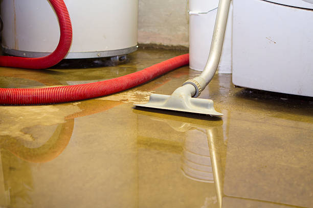 Best Local water damage restoration  in Red Oak, TX