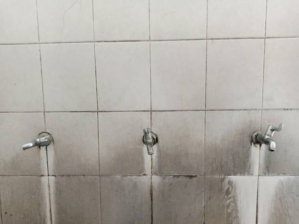 Best Water damage cleanup near me  in Red Oak, TX