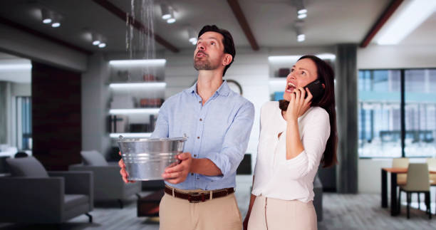 Best Basement water damage restoration  in Red Oak, TX